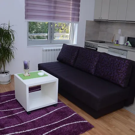 Sekula'S City Center Apartment Belgrad Dış mekan fotoğraf